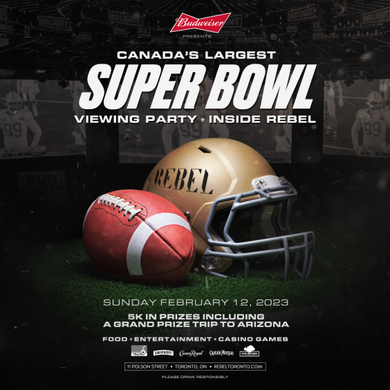 SUPER BOWL VIEWING PARTY